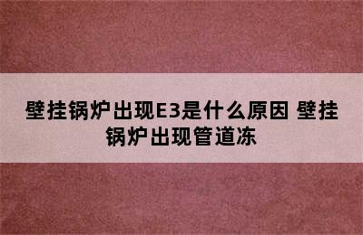 壁挂锅炉出现E3是什么原因 壁挂锅炉出现管道冻